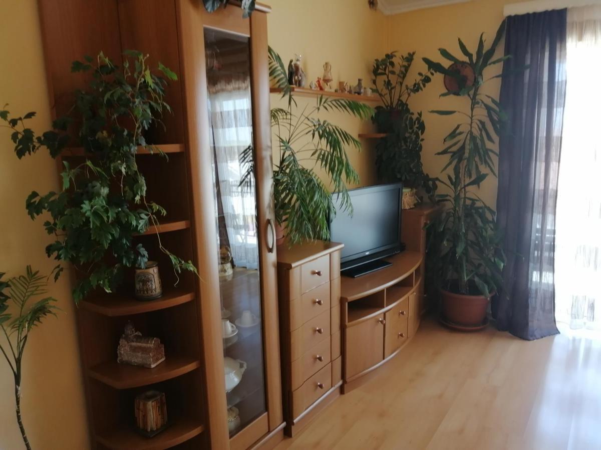 Goga Apartments Primošten Exteriér fotografie